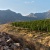 CNN: Армения-древнейшая колыбель виноделия