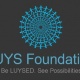 Фонд «Луйс» намерен развивать ИТ-индустрию «Living Art» в Гюмри.