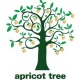 В Армении пройдет международный фестиваль документальных фильмов «Абрикосовое дерево»