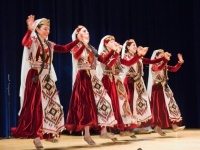 Танцуют все: Правительство Армении подготовит совместные культурные мероприятия с диаспорой